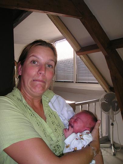 Imme 28 juli 2006 (8).JPG